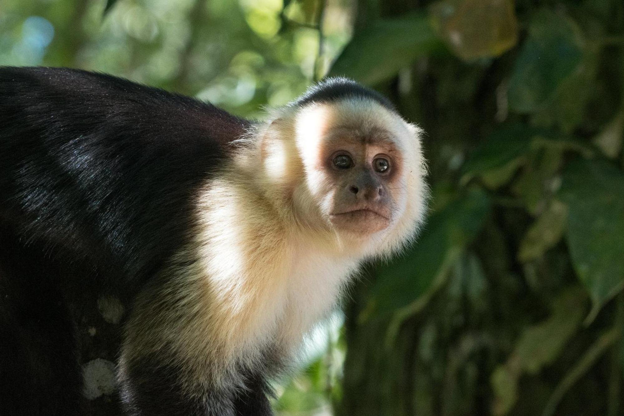 Santuario Ecologico Monteverde Exteriör bild