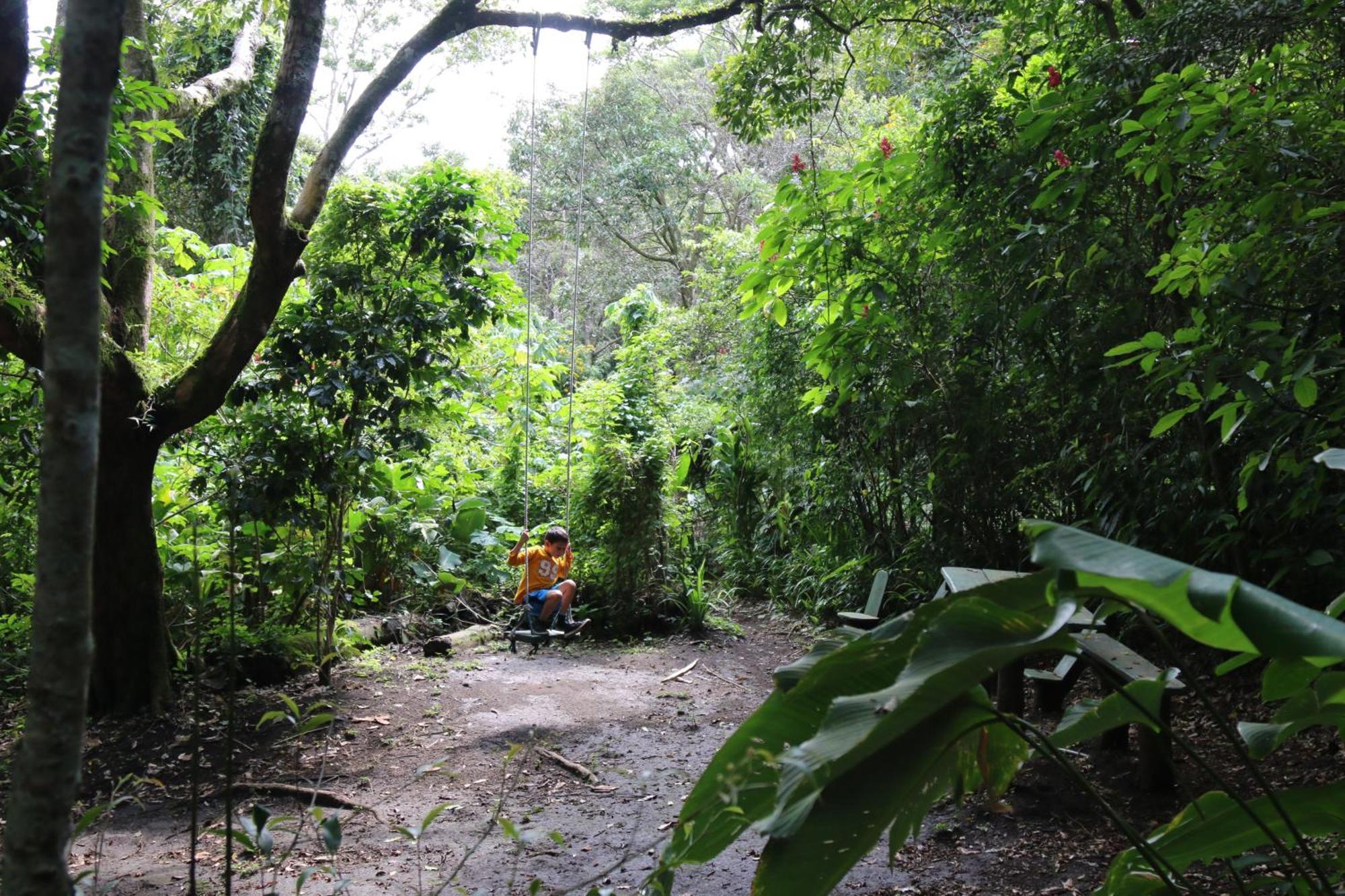 Santuario Ecologico Monteverde Exteriör bild