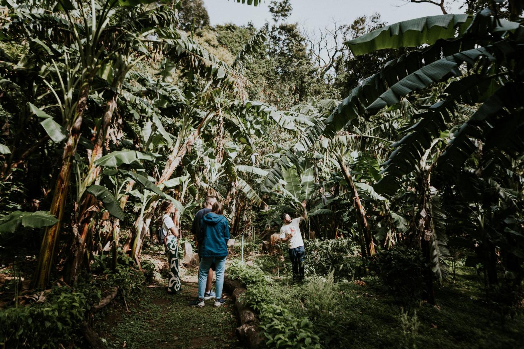 Santuario Ecologico Monteverde Exteriör bild