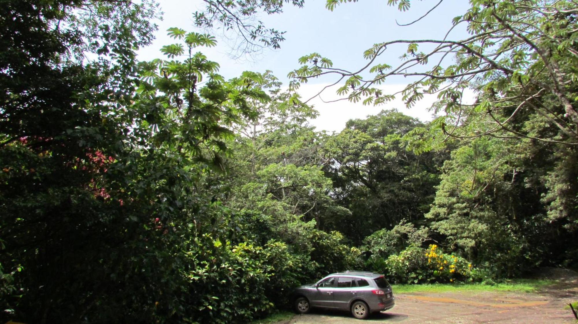 Santuario Ecologico Monteverde Exteriör bild